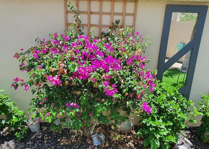 Townhouse Corales, 4-bedroom فيلة *
