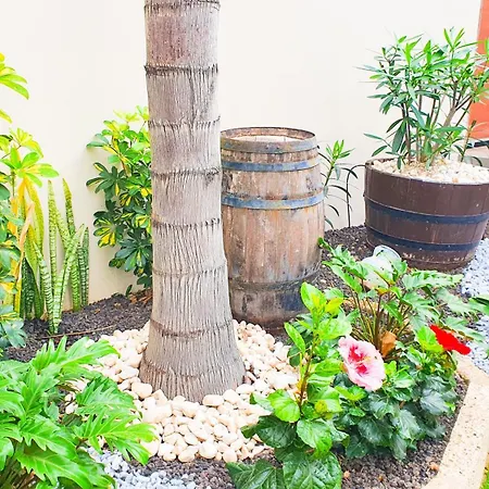 Villa 4-bedroom Corales With Jacuzzi, Garden, Close To Everything *